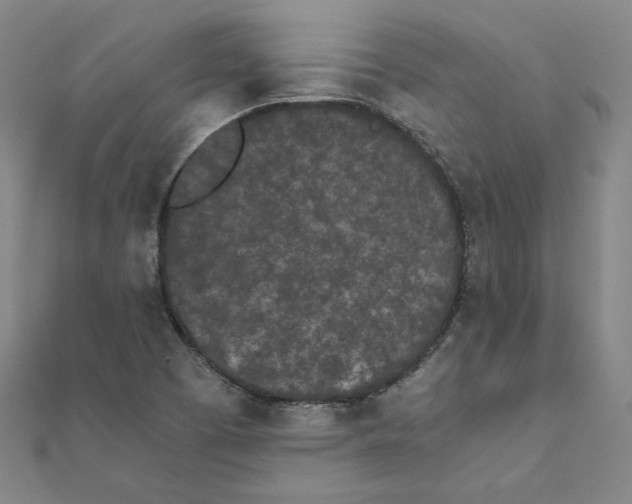 X0000111491457200908111213