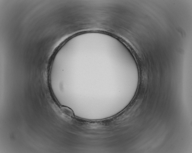 X0000111491460200908111213
