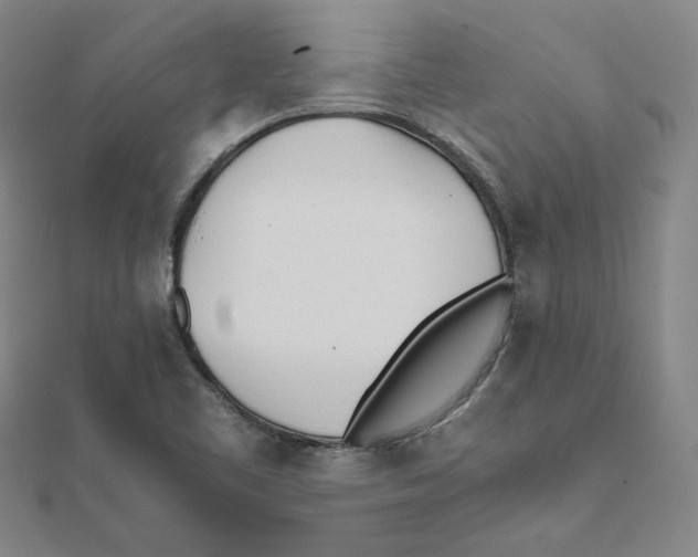 X0000111491461200908111213