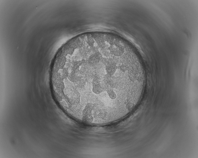 X0000111491463200908111213