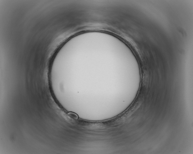 X0000111491464200908111213