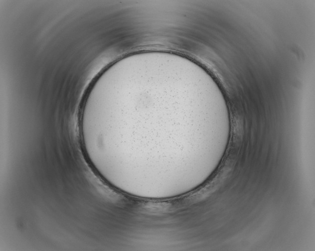 X0000111491466200908111213