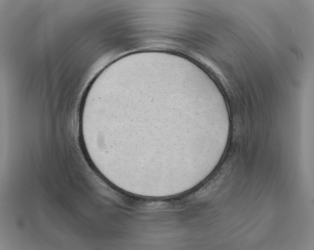 X0000111491467200908111213