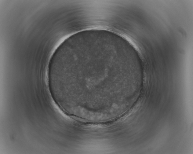 X0000111491468200908111213