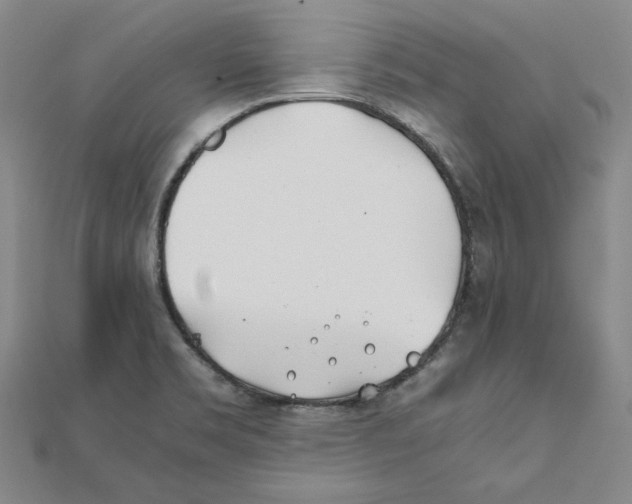 X0000111491469200908111213