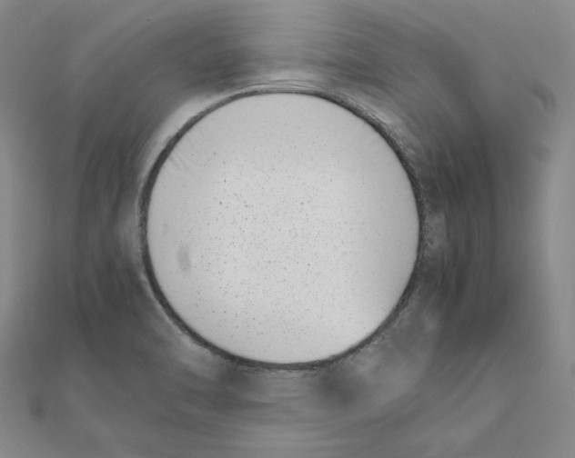 X0000111491470200908111213