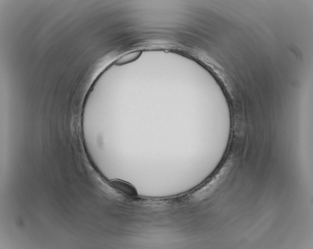 X0000111491473200908111213
