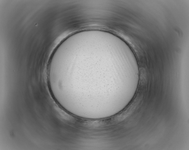 X0000111491474200908111213