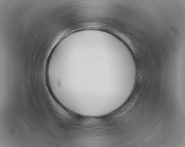X0000111491475200908111213