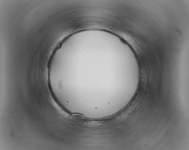 X0000111491476200908111213