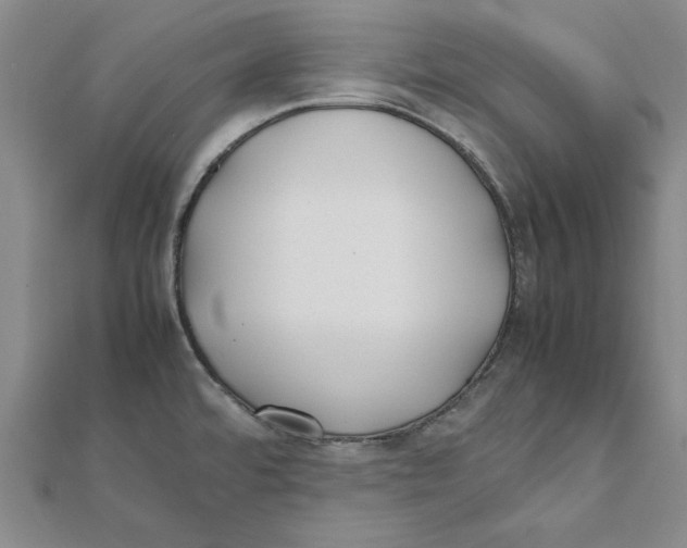 X0000111491480200908111213