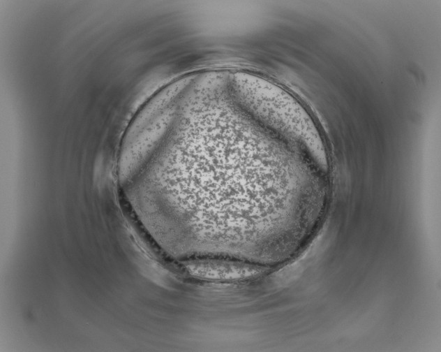 X0000111491481200908111213