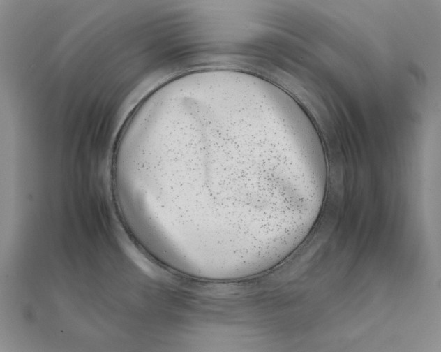 X0000111491482200908111213