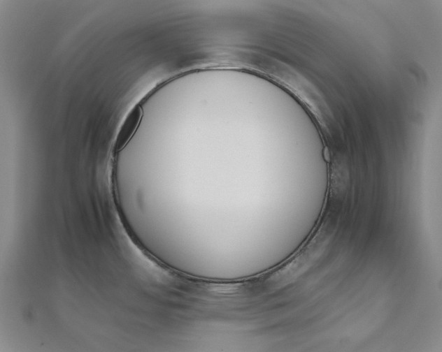 X0000111491484200908111212