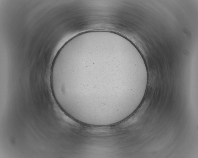 X0000111491486200908111212