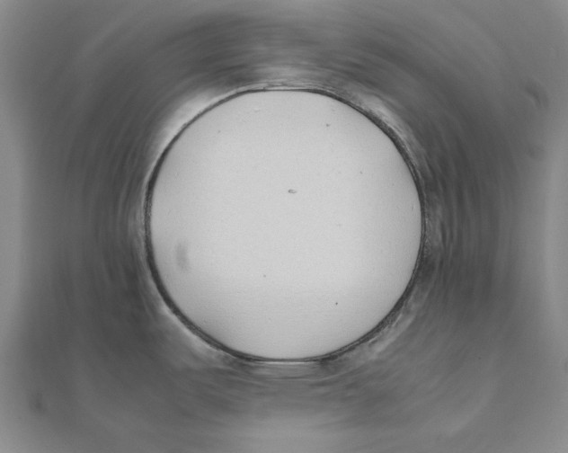 X0000111491487200908111212