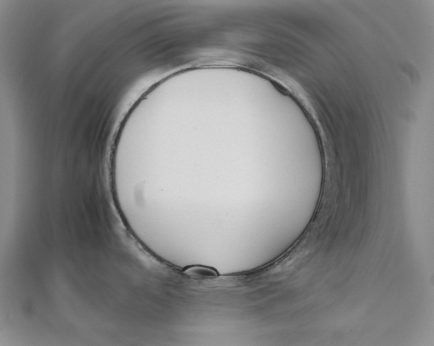X0000111491488200908111212