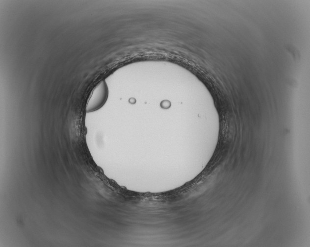 X0000111491490200908111212