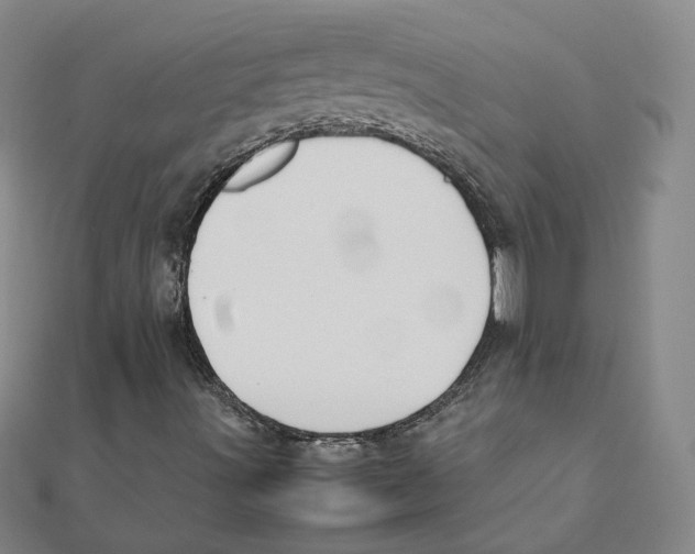 X0000111491491200908111212