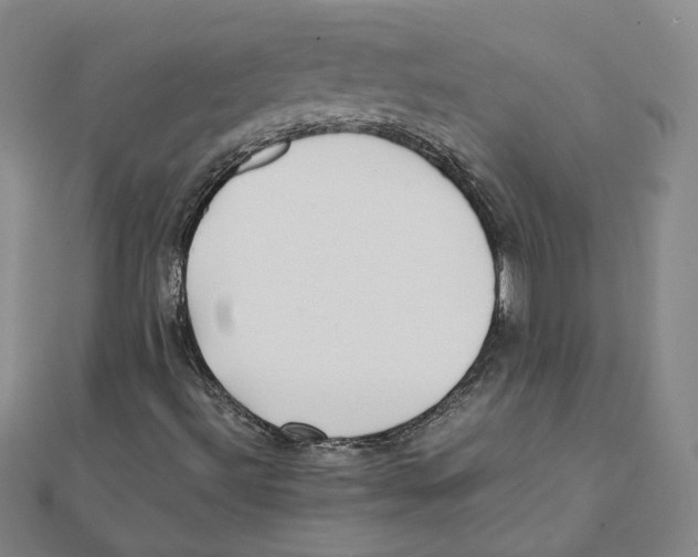 X0000111491492200908111212
