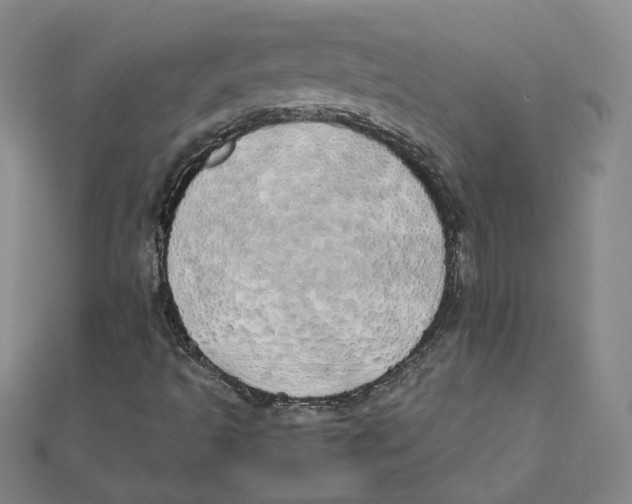 X0000111491493200908111212