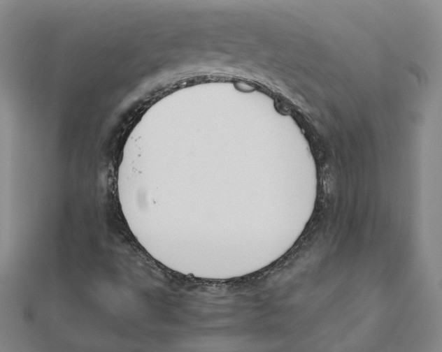 X0000111491495200908111212