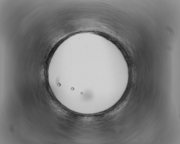 X0000111491497200908111212