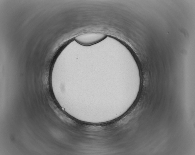 X0000111491499200908111212