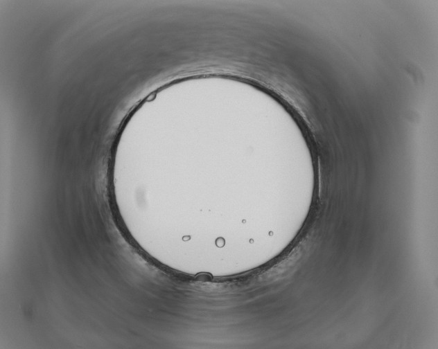 X0000111491500200908111212