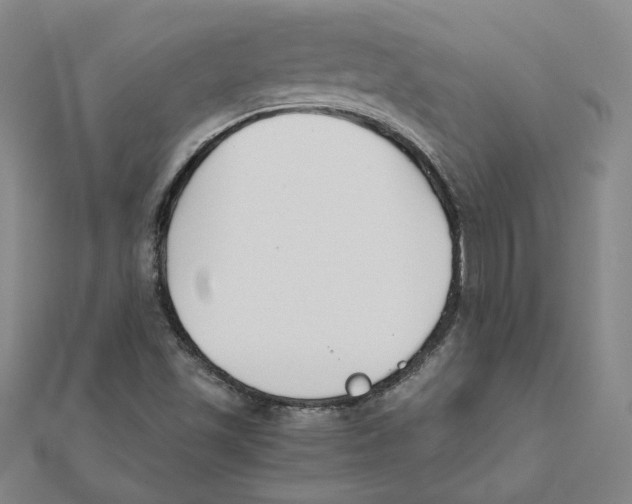 X0000111491501200908111212