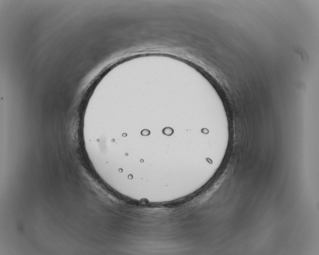 X0000111491502200908111212