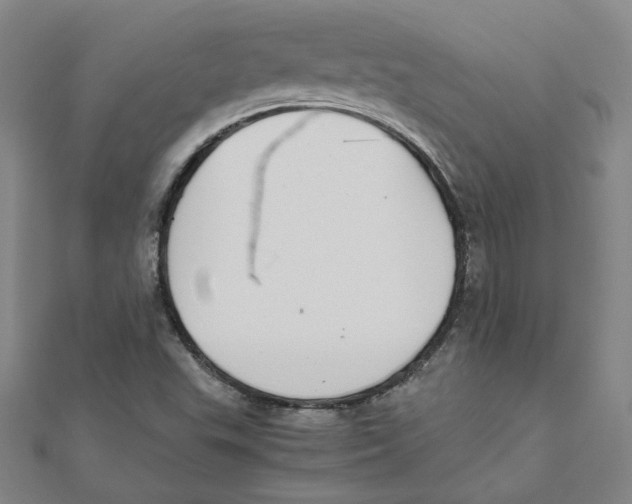 X0000111491503200908111212