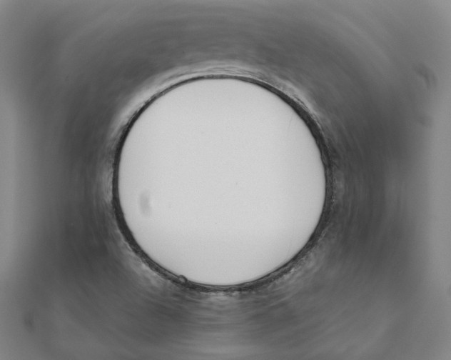 X0000111491504200908111212