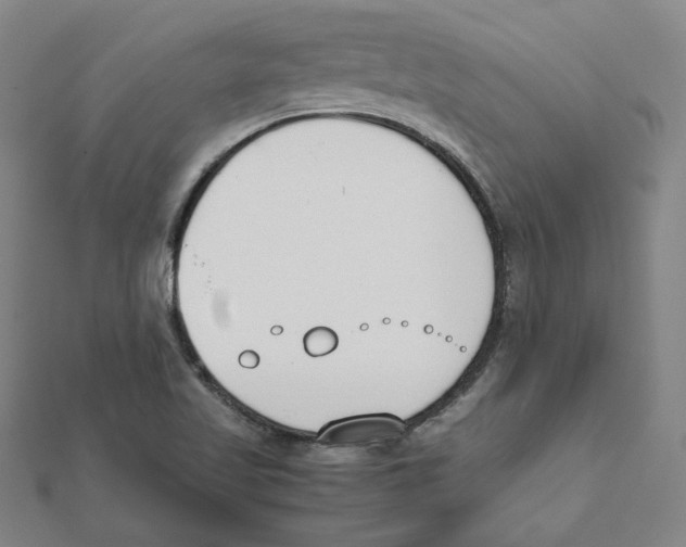 X0000111491509200908111212