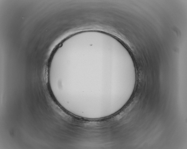 X0000111491510200908111212
