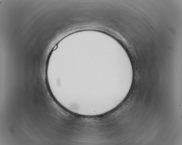 X0000111491512200908111212