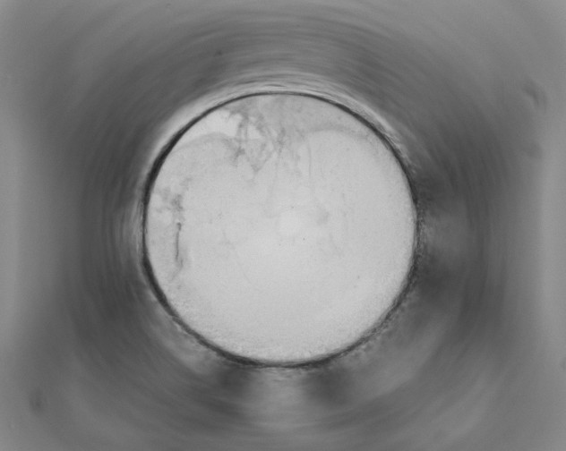 X0000111491514200908111212