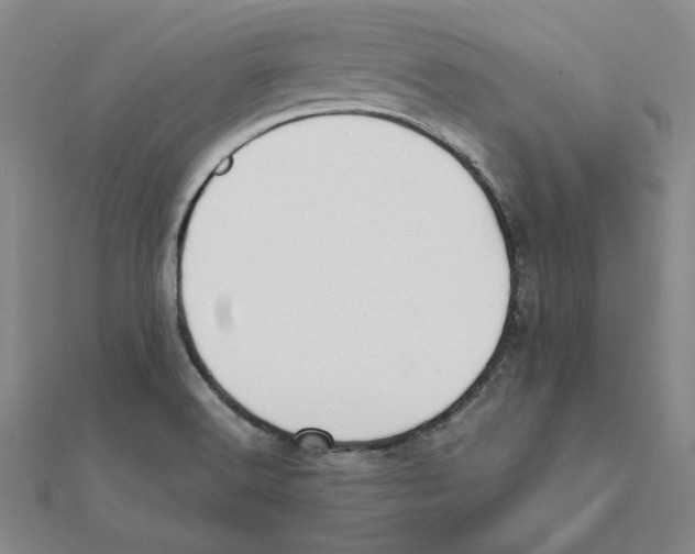 X0000111491516200908111212