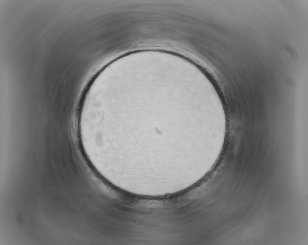 X0000111491517200908111212