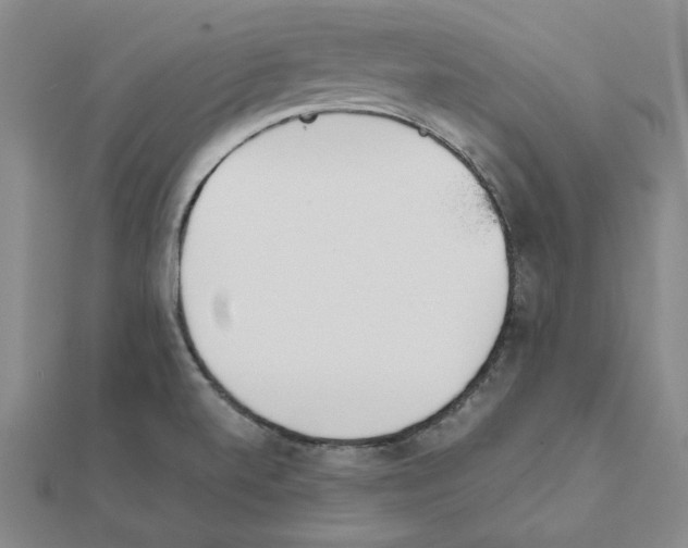 X0000111491520200908111212