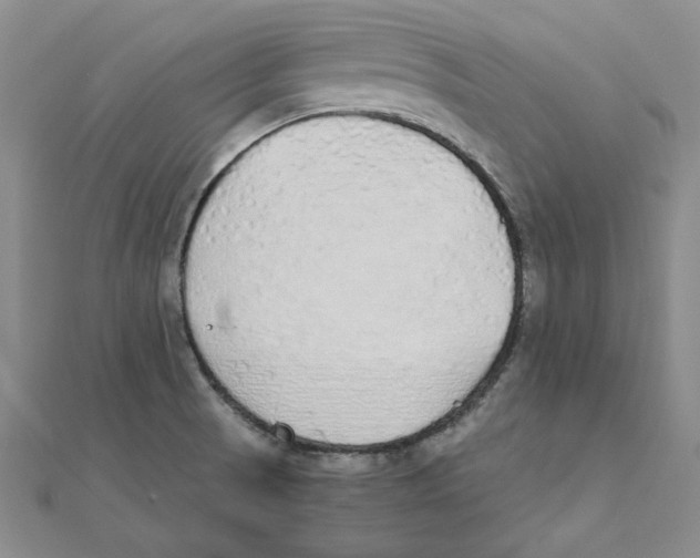 X0000111491521200908111212
