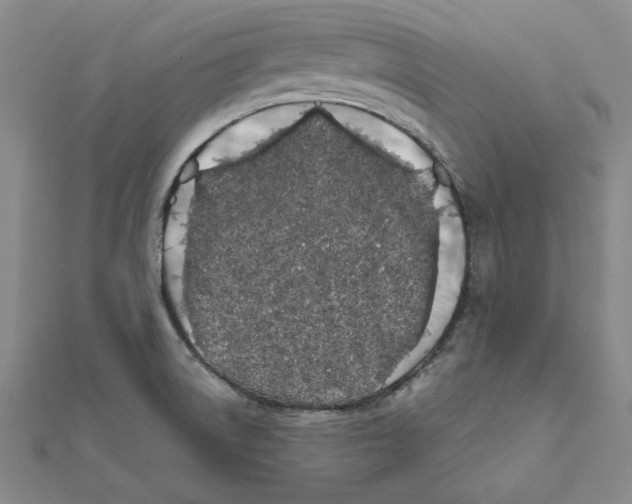 X0000111491522200908111212