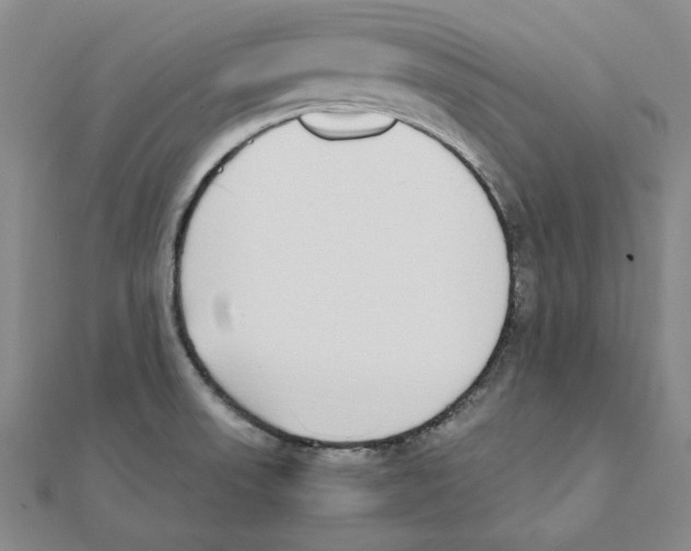 X0000111491523200908111212