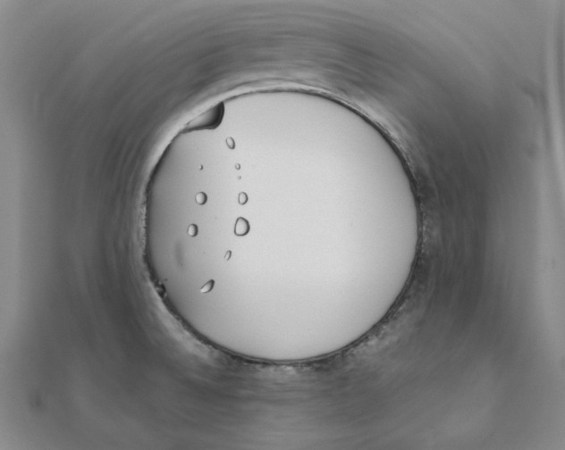 X0000111491524200908111212