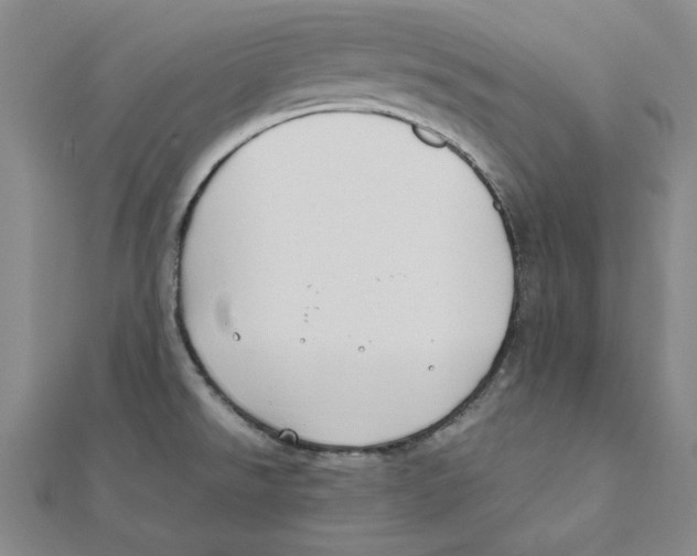 X0000111491526200908111212