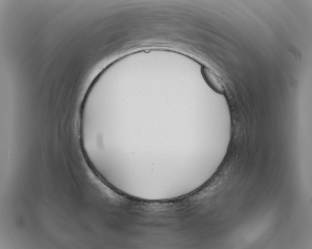 X0000111491527200908111212
