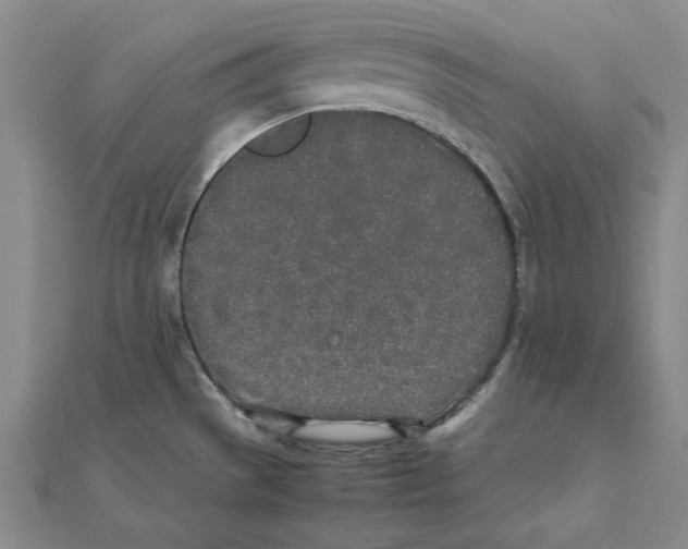 X0000111491529200908111212