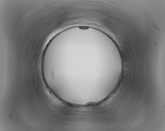 X0000111491530200908111212