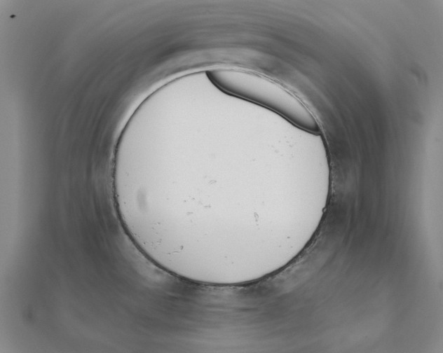 X0000111491532200908111212