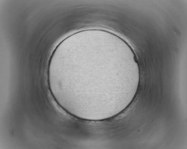 X0000111491534200908111212